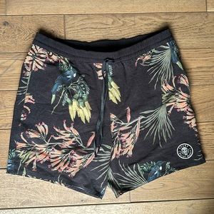 Roark swim shorts